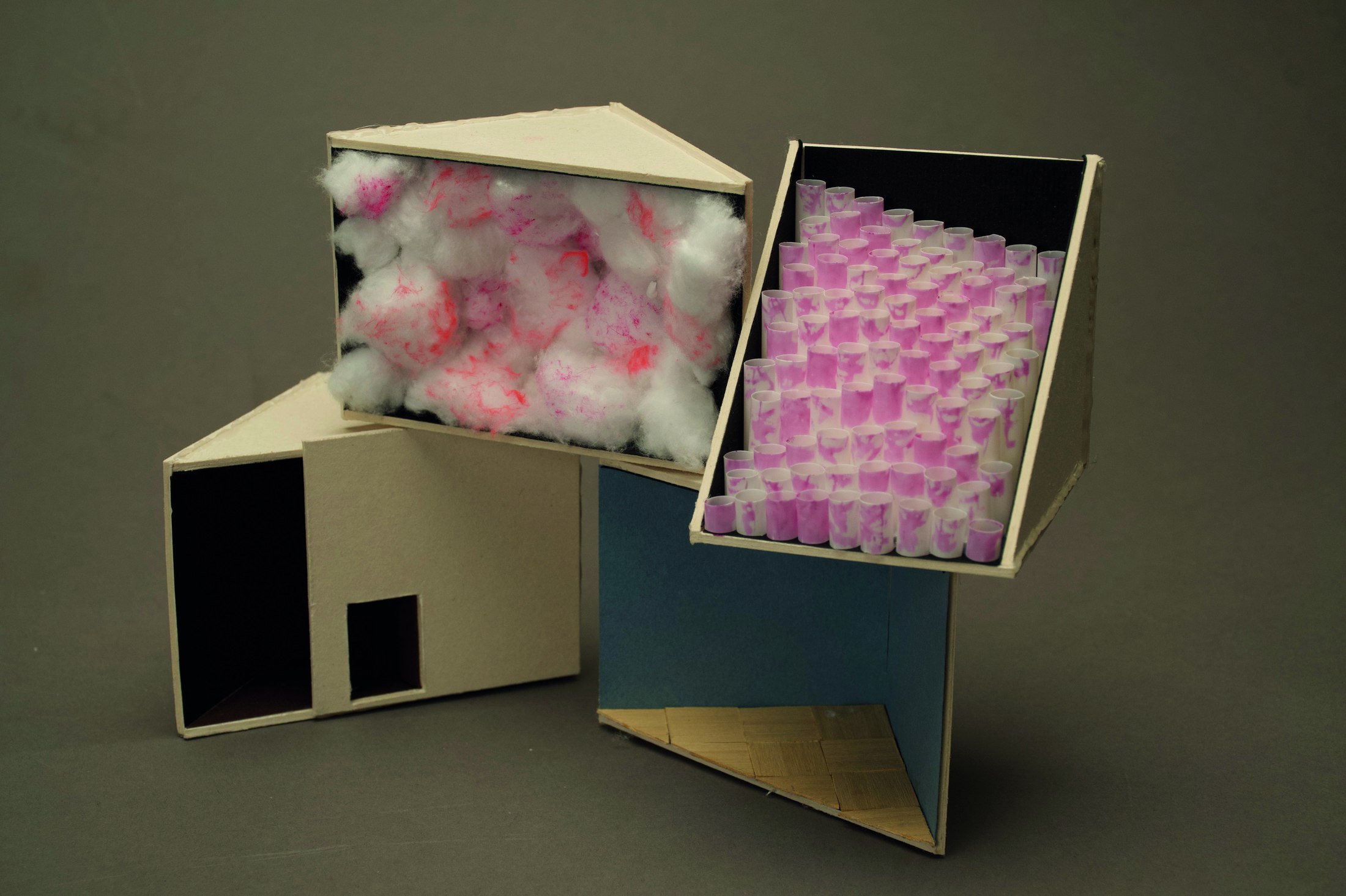 Mottainai — overview of physical study models